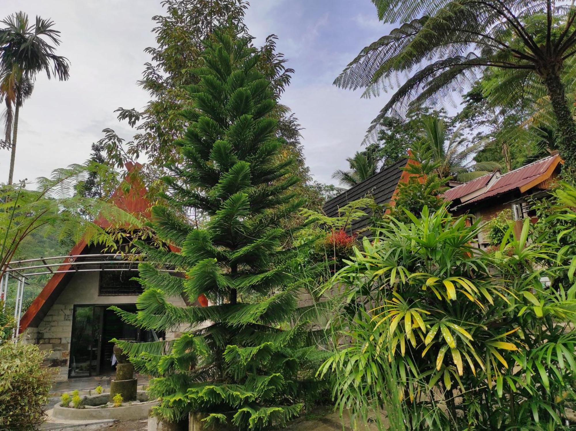 Goa Walet Cottage Praya Kültér fotó