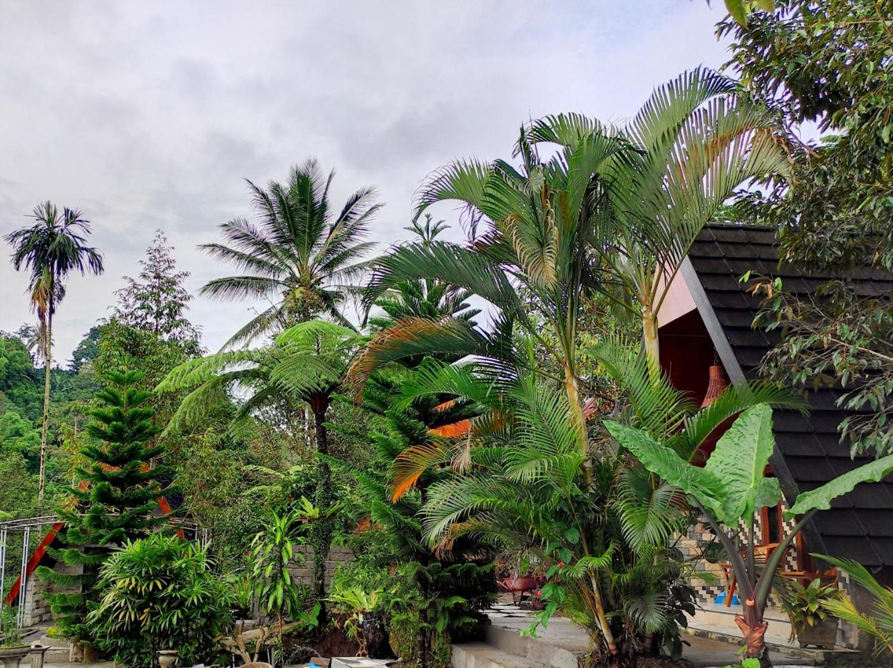 Goa Walet Cottage Praya Kültér fotó